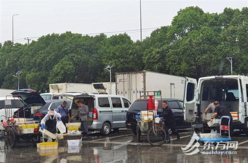 双节 海鲜销售情况如何 记者实探 部分海鱼价格较往年下降,淡水类养殖水产品受欢迎,海鲜酒店包房预定火爆